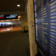 Canceled flights at Palm Beach International Airport. Image: AP